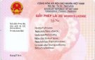 Hướng dẫn nộp “phạt nguội” và tham gia giao thông khi đang trong thời gian chờ cấp, đổi giấy phép lái xe